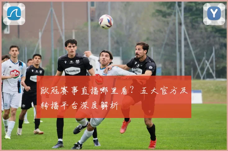 欧冠赛事直播哪里看？五大官方及转播平台深度解析