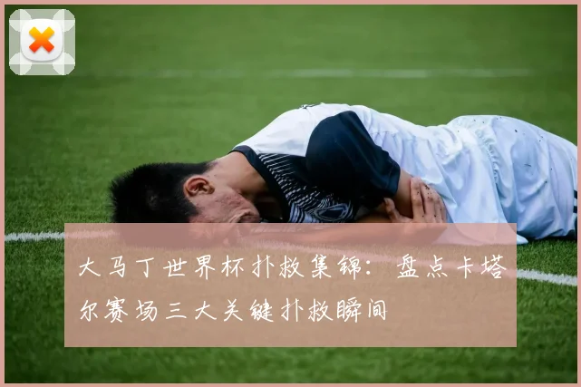 大马丁世界杯扑救集锦：盘点卡塔尔赛场三大关键扑救瞬间